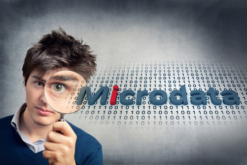 statbel_microdata_illustration