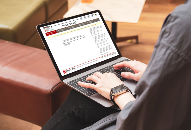 person consulting BCE on laptop